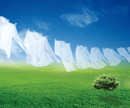 Green Chelating Agents